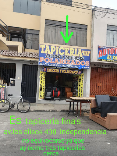 Tapiceria Fina Polarizados