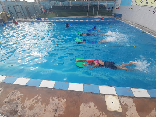 ESCUELA DE NATACION Y DEPORTES Grupo San Marcos