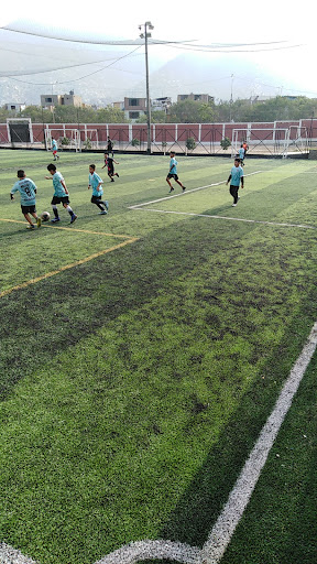 Escuela Oficial De Futbol Alianza Lima