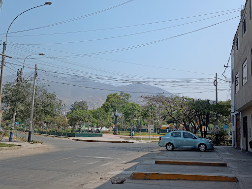 Biblioteca Peru